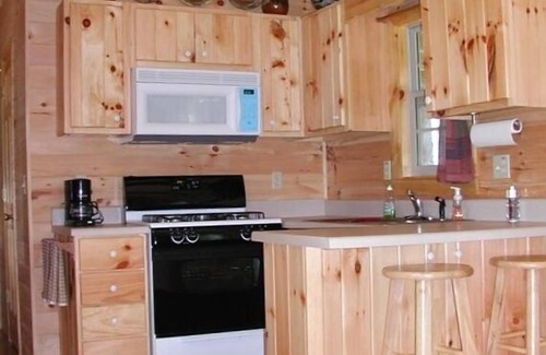 Hendersonville Cabin | Relaxing Escape at Lazy Rocker Cabin in Apple Country