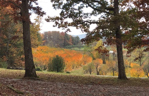 Hendersonville Cabin | Relaxing Escape at Lazy Rocker Cabin in Apple Country