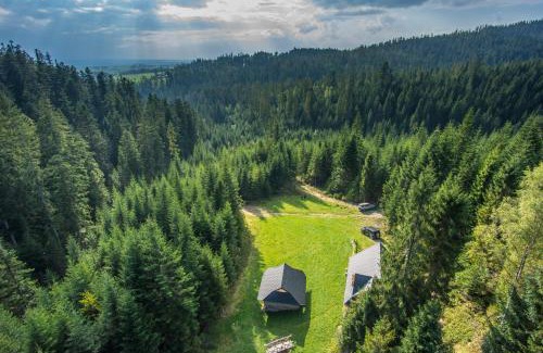 Nowy Targ Ski Chalet | Premier Leśna Bacówka: Pet-Friendly Retreat with Hot Tub