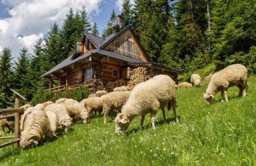 Nowy Targ Ski Chalet | Premier Leśna Bacówka: Pet-Friendly Retreat with Hot Tub