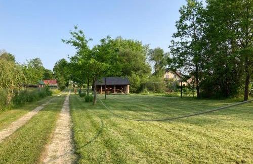 gmina Łukowa Other | Discover Leśne Zacisze: Pet-Friendly Oceanfront Retreat