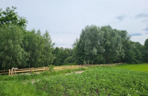 gmina Swiekatowo Other | Leśny Domek - Świekatowo