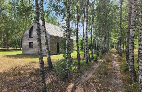 Ostrow Mazowiecka Villa | Leśny Pałapus