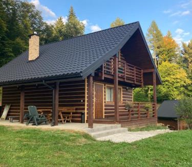 Lesko Cabin | Discover Leśny Zakątek: Oceanfront with 9.9/10 Rating