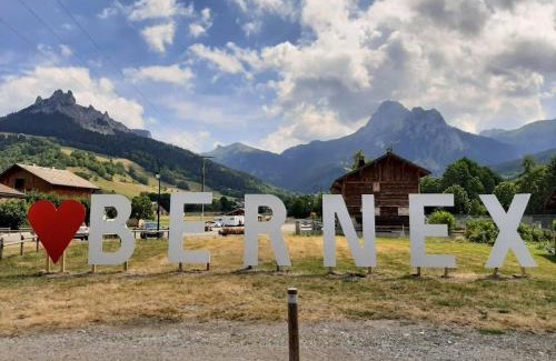 Bernex Apartment | Enjoy Skiing & Hiking at Le 211 - Guest Rated 9.7/10