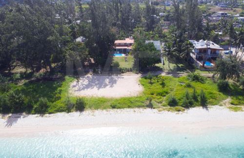 Surinam Villa | Relax at Le Badamier Rose - Pet Friendly Oceanfront Retreat