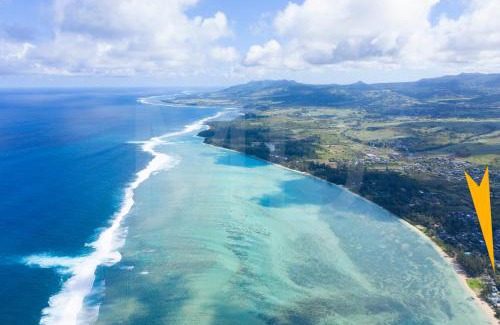 Surinam Villa | Relax at Le Badamier Rose - Pet Friendly Oceanfront Retreat