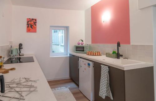 Castres Apartment | Le Baron terrasse et parking cœur de Castres