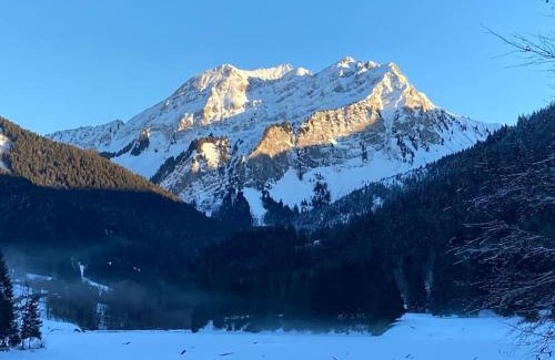 Bellevaux Apartment | Cozy Le Bel Appartement de Montagne - Rated 9.1/10