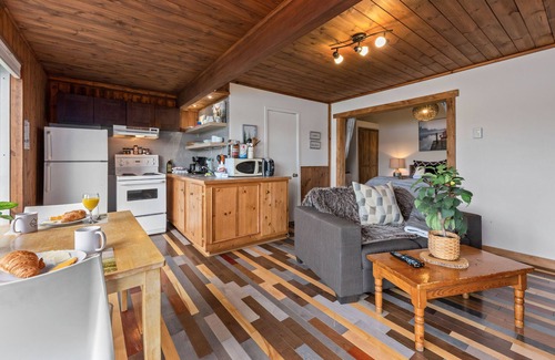 Sainte-Lucie-des-Laurentides Ski Chalet | ☀️ Le1617 - Private dock, Lake- Chalets in the north ☀️