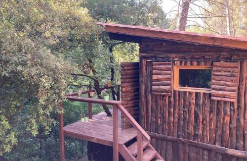 Nord Ski Chalet | Le Cabanon d 'Aix