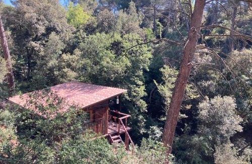 Nord Ski Chalet | Le Cabanon d 'Aix