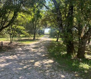 Grignan Bed & Breakfast | Le cabanon de la bergerie