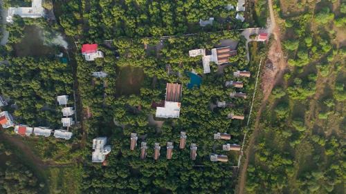 Talala Resort | Le Casa Lion Resort A Premium Resort In Sasan Gir