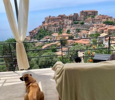 Marina di Pisciotta Apartment | Discover La Casa Dei Fiori: Pet-Friendly Retreats Await!