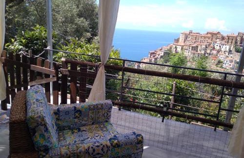 Marina di Pisciotta Apartment | Discover La Casa Dei Fiori: Pet-Friendly Retreats Await!