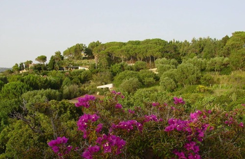 Ricadi Hotel | Discover Le Case di Berto: Family-Friendly Retreat Awaits