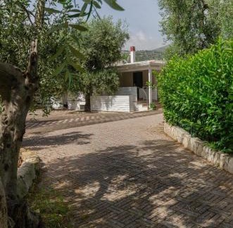 Mattinata Apartment | Pet-Friendly Retreat at Le Case di Chri - 4-Star Getaway