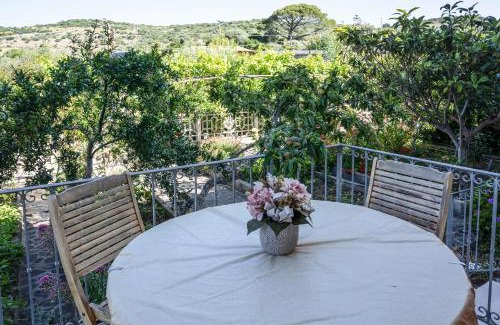 Modolo Apartment | Explore Le Case nel Vitigno - Modolo: Pet Friendly Oasis
