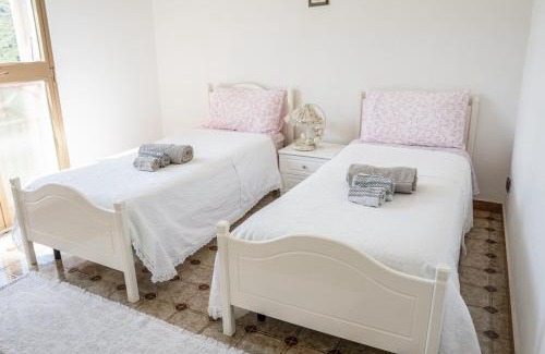 Modolo Apartment | Explore Le Case nel Vitigno - Modolo: Pet Friendly Oasis