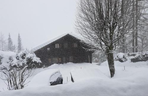 Morgins Bed & Breakfast | Discover Le Castor: Family-Friendly Retreat with Dining