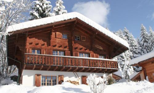 Morgins Bed & Breakfast | Discover Le Castor: Family-Friendly Retreat with Dining
