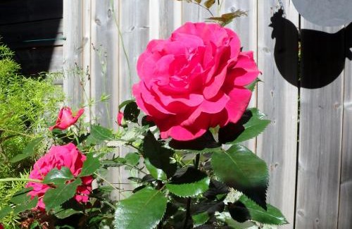 Chamonix City Centre Apartment | Exceptional Family Retreat at Le Chalet de l'Ours Blanc