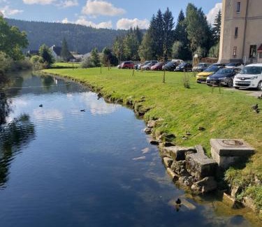 Mouthe Hotel | Discover Le Chalet de la Source: Family & Pet-Friendly Retreat