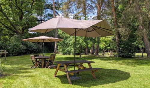 Folles House | Discover Le Chalet des Apiculteurs: Family & Pet Friendly Stay