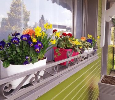 Frambouhans Ski Chalet | Pet-Friendly Gîte le Chalet Vert near Raquettes Trails
