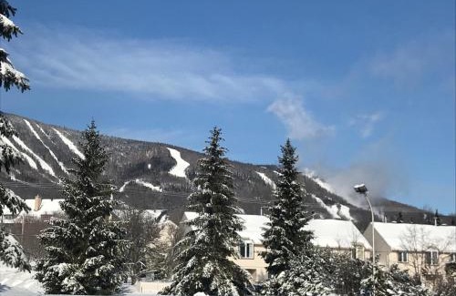 Beaupre Apartment | Welcoming Le Chaleureux: Pool, Breakfast & Family Friendly