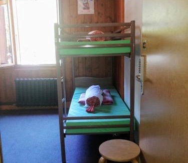 Chamonix-Mont-Blanc Hostel | Discover Le Chamoniard Volant: Family-Friendly Retreat