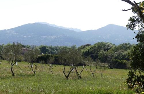 Sollies Pont Bed & Breakfast | Experience a Historic Stay at Le Charme Bastide Provençale