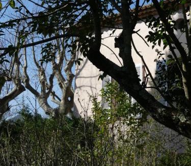 Sollies Pont Bed & Breakfast | Experience a Historic Stay at Le Charme Bastide Provençale