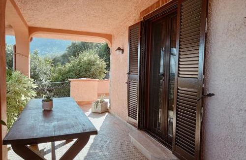 Monte San Biagio House | Discover Pet-Friendly Comfort at Le Chat Libre