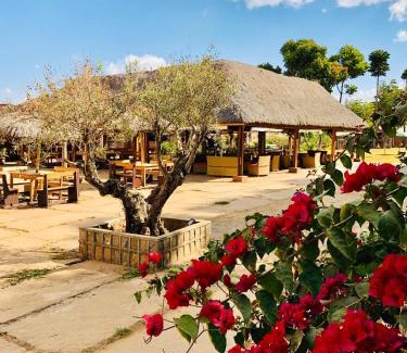 Ambohibao Hotel | Le Chat'o Park Hotel Ivato Airport NAVETTE GRATUITE H24