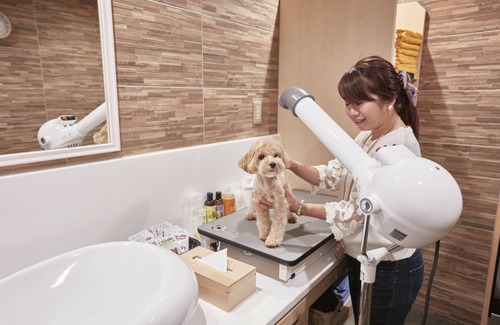 Kyukaruizawa Hotel | Discover Le Chien Kyuu Karuizawa: Pet-Friendly Retreat