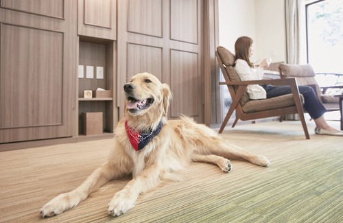 Kyukaruizawa Hotel | Discover Le Chien Kyuu Karuizawa: Pet-Friendly Retreat