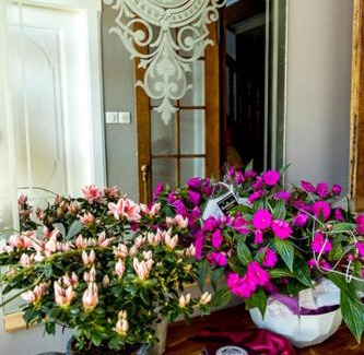 Flexbourg Bed & Breakfast | Inviting Le Clos d'Azel: Oceanfront Stay with Pool