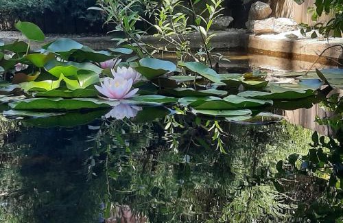 Lagnieu Hotel | Discover Le Clos du Bois Joli: Family-Friendly Retreat