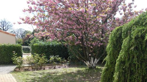 Mouilleron-le-Captif House | Relax at Le Clos Sainte Lea with Ocean View & Pool Access