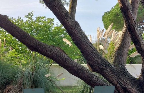 Les Portes-en-Re House | Relax at Le Clos Ste Marie with Spa & Hot Tub Amenities