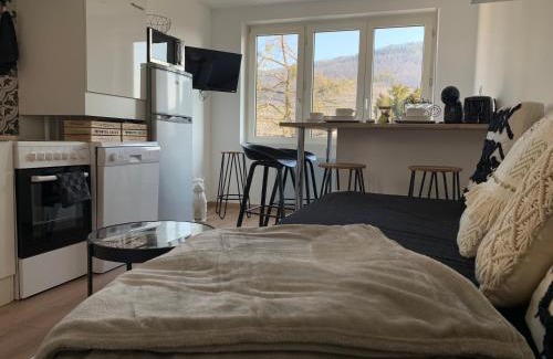 Guebwiller Apartment | Budget-Friendly Stay at Le Cocon: Child-Friendly Oasis