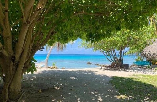 Rangiroa Bed & Breakfast | Relax at Le Coconut Lodge with Private Beach & Ocean Views