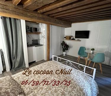 Nuits-Saint-Georges Apartment | Cozy Family Retreat at Le Cocoon Nuits