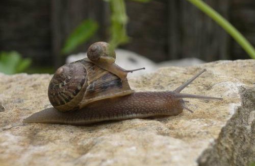 Chissey-les-Macon House | Oceanfront Escape at Le coeur du Lys with Family-Friendly Amenities