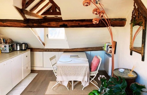 Notre-Dame Apartment | Experience Le cosy Macaron in Historic Versailles