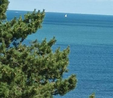 Benerville-sur-Mer Apartment | Oceanfront Escape at Le Cottage Vue Mer - Rated 9.3/10