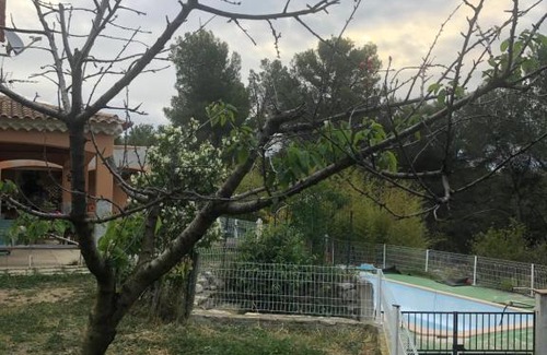 Lambesc Villa | Pet-Friendly Retreat with Pool at Le Coussou