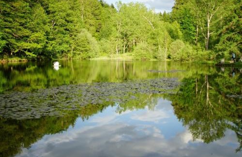 Saint-Nabord Apartment | Discover le Crusoé: Oceanfront Apartment with Pet-Friendly Luxury